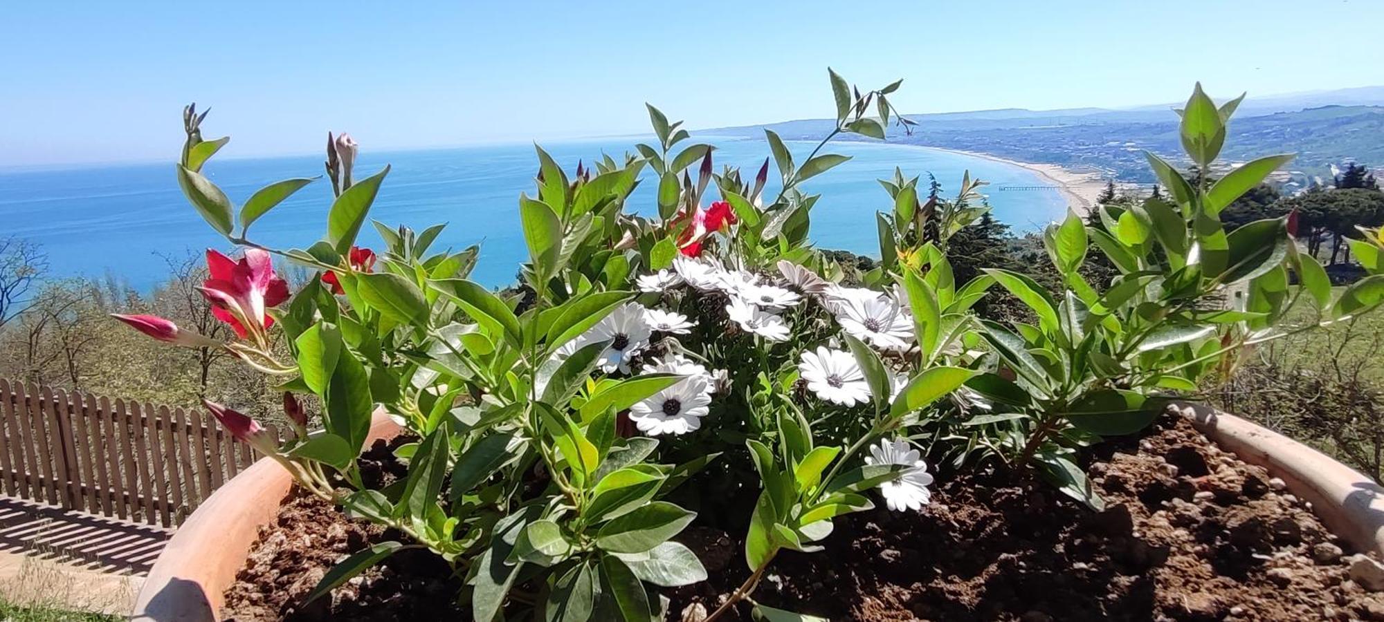 Oltre Confine Fronte Mare Villa Marina Di Montenero Buitenkant foto